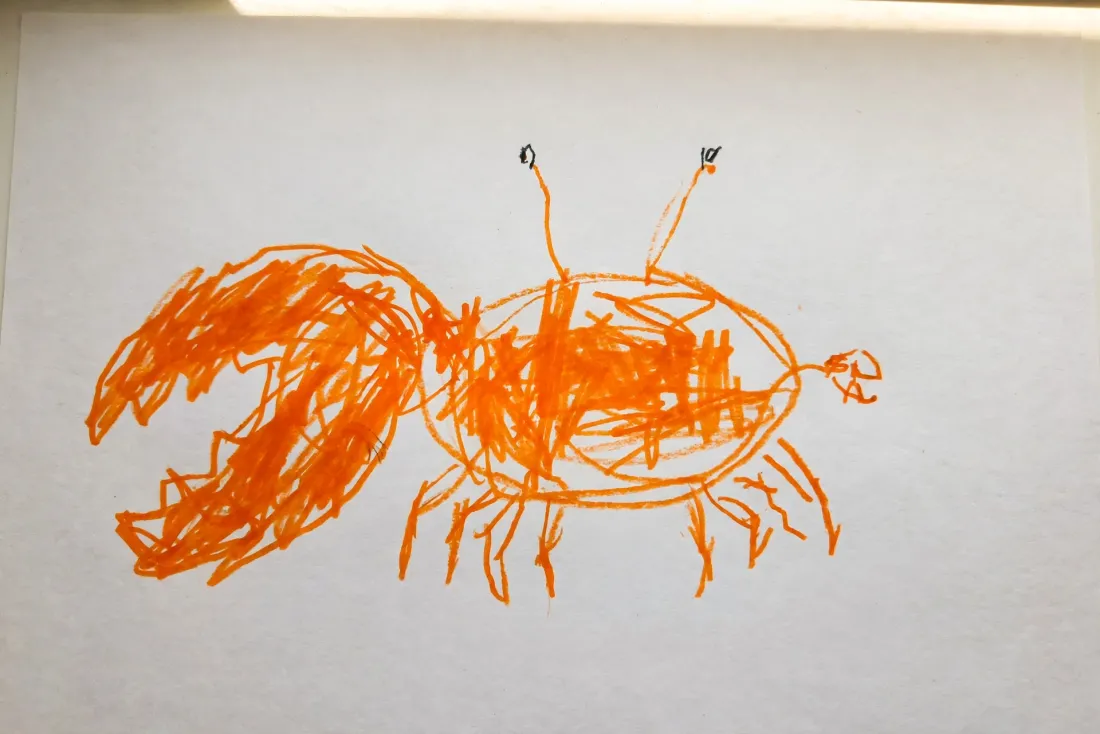 Caspian's marker drawing of a wide orange crab with one enormous claw and one tiny one, used as the hero of his DoodleTale storybook